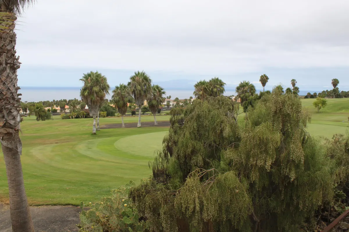 Palm trees and golf greens near the coast of Tenerife Palm trees and golf greens near the coast of Tenerife