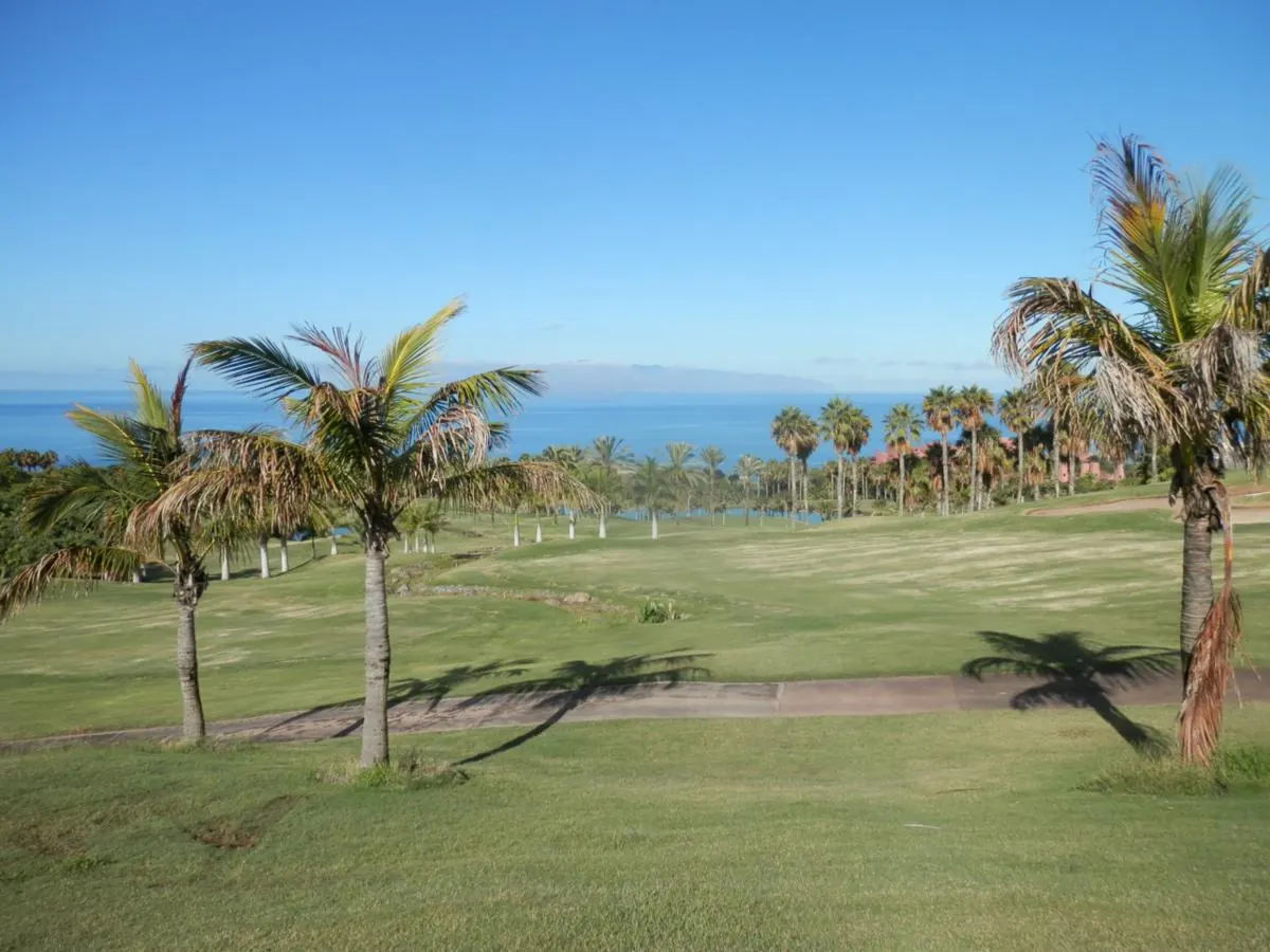Palm trees and lawns running down towards the sea in the south of Tenerife